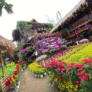 Station touristique Khamy Riverside, Hội An
